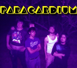Paracardium