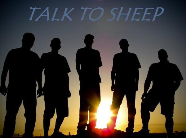 Talk To Sheep